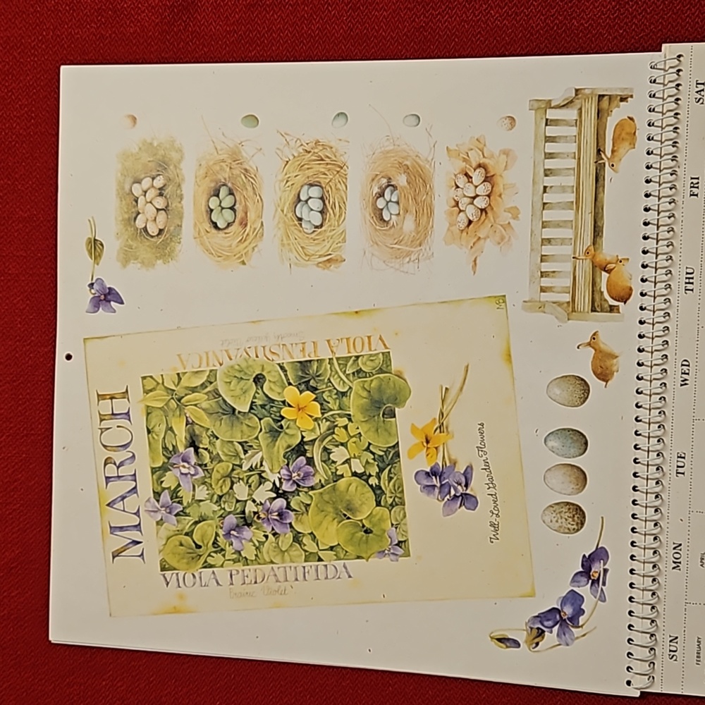 Marjolein Bastin Hallmark @2001 calendar UNUSED Nature's Sketchbook art craft - Picture 7 of 16